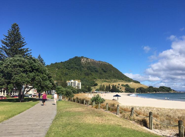 Victoria Road B&B Mount Maunganui Exterior foto